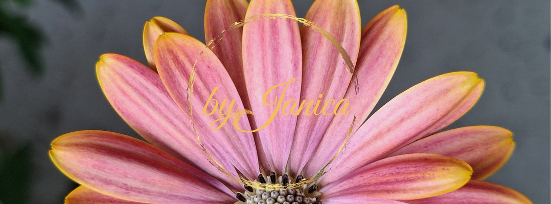 In Search of a Soulmate – A Practical Guide to Recognizing the Partner Sent by God