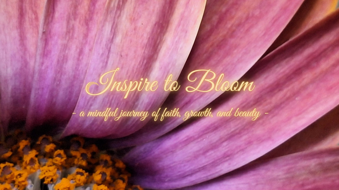 Covenant Awakening, Faith Journey & No More Hiding – Step Into Your Calling
