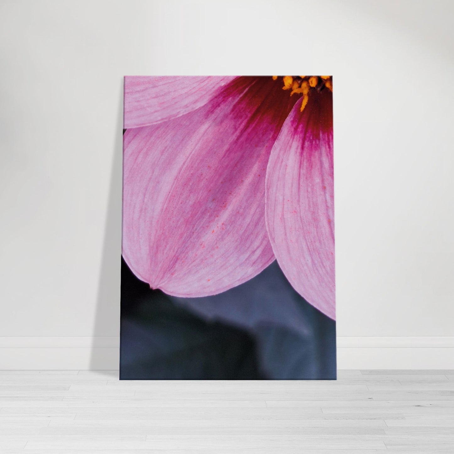 Wall art canvas that has a singlewinkdahlia flower pictured close. Graphic photograph shades going from just a hint of orange to lush pink to soft blush and dark cool grey leafs.